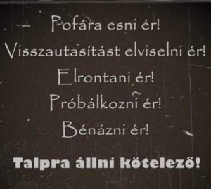 FB_IMG_1445178510252